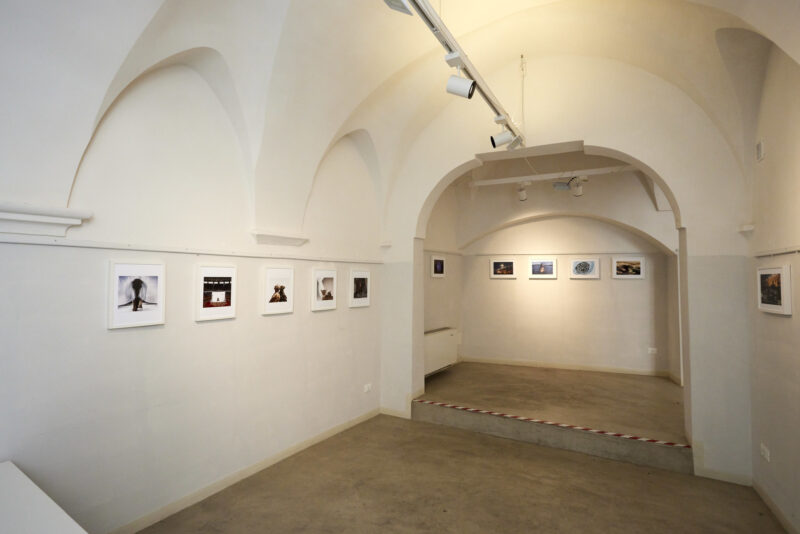 54603600089_78eebc1cd9_k